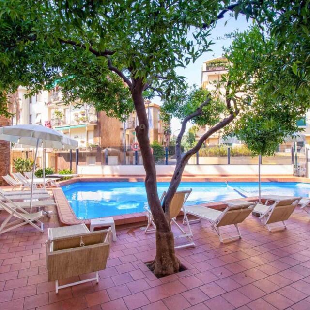 𝐋𝐚 𝐯𝐨𝐬𝐭𝐫𝐚 𝐯𝐚𝐜𝐚𝐧𝐳𝐚 𝐚𝐥 𝐂𝐨𝐜𝐜𝐨𝐝𝐫𝐢𝐥𝐥𝐨 ❤
"Non mi capitava da anni di vedere un Hotel così bello. Personale gentilissimo, piscina bellissima, camere spaziose e pulite. Ambiente immerso nella natura e un giardino davvero ben curato. Ci torneremo a vita!"

Le vostre parole, il nostro impegno per darvi sempre il meglio ❤

#HotelCoccodrillo #Liguria 
.
.
.
#ligurianriviera #liguriancoast #varazze #varazzers #ligurian_places #varazzesurf #liguriagram #liguriansea #varazzebeach #liguriadavivere #mareligure🌍 #mareligure